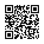 T38101-20-0 QRCode