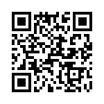 T38102-02-0 QRCode
