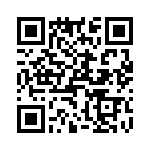 T38102-06-0 QRCode