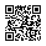 T38102-22-0 QRCode