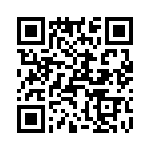 T38102-26-0 QRCode