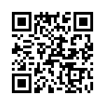 T38103-02-0 QRCode