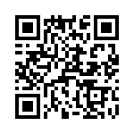 T38103-09-0 QRCode