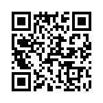 T38103-11-0 QRCode