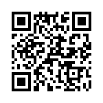 T38103-17-0 QRCode