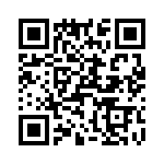 T38107-04-0 QRCode