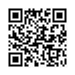 T38107-23-0 QRCode