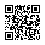 T38108-07-0 QRCode