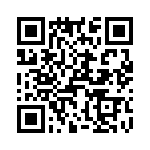 T38108-09-0 QRCode