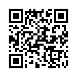 T38110-03-0 QRCode
