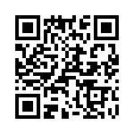 T38110-11-0 QRCode