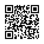 T38111-10-0 QRCode