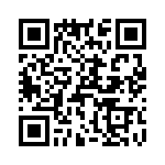 T38111-17-0 QRCode