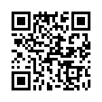 T38111-20-0 QRCode