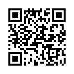 T38112-03-0 QRCode