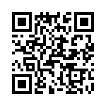 T38112-09-0 QRCode