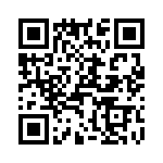 T38112-10-0 QRCode