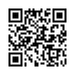 T38113-22-0 QRCode