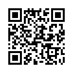 T38117-13-0 QRCode