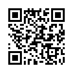T38120-22-0 QRCode