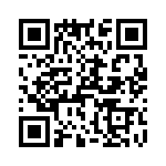T38121-11-0 QRCode