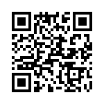 T38122-25-0 QRCode