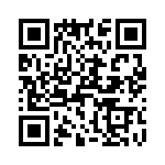T38123-09-0 QRCode