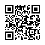 T38125-02-0 QRCode