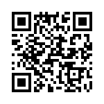 T38125-07-0 QRCode