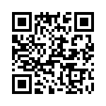 T38125-13-0 QRCode