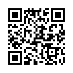 T38127-13-0 QRCode