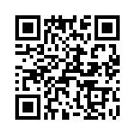 T38128-01-0 QRCode