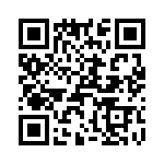 T38130-01-0 QRCode