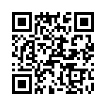 T38130-04-0 QRCode