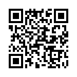 T38130-05-0 QRCode