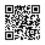 T38130-08-0 QRCode