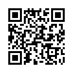 T38131-05-0 QRCode