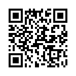 T38131-11-0 QRCode
