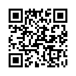 T38132-03-0 QRCode