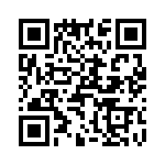 T38132-05-0 QRCode