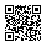 T38132-08-0 QRCode