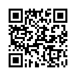 T38132-12-0 QRCode