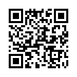 T38132-17-0 QRCode