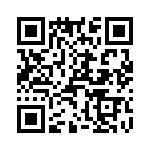 T38132-19-0 QRCode