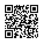 T38132-22-0 QRCode