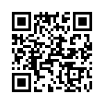 T38132-23-0 QRCode