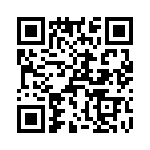 T38133-03-0 QRCode