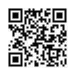 T38133-24-0 QRCode
