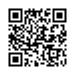 T38137-09-0 QRCode