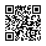 T38138-02-0 QRCode